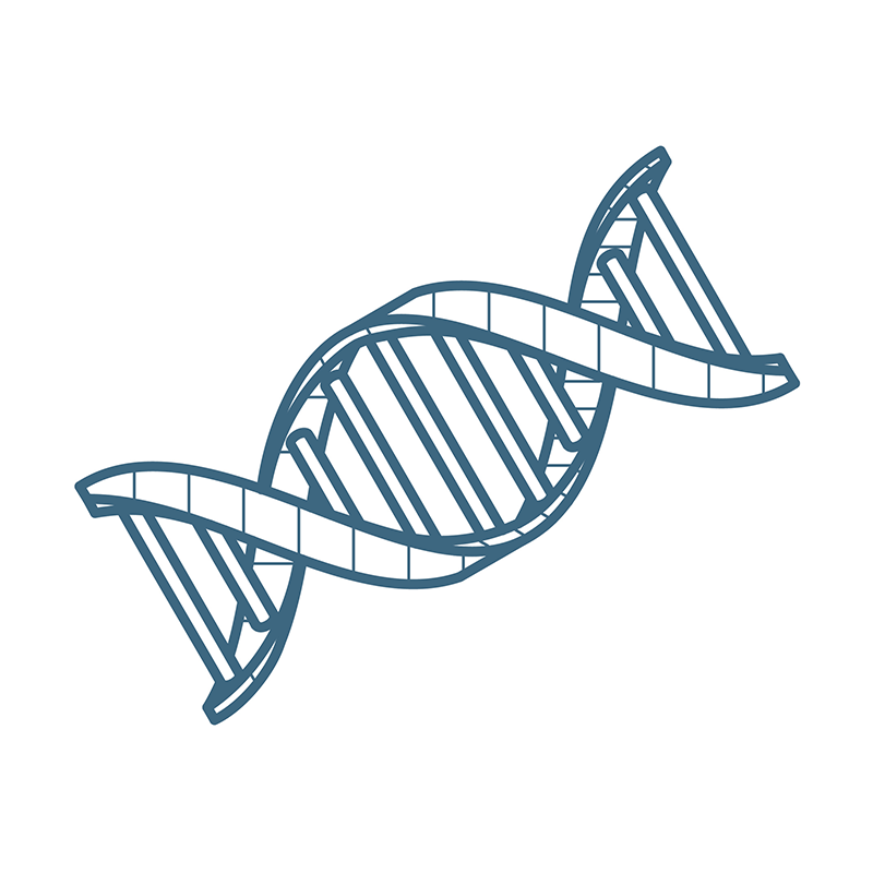 gDNA Isolation